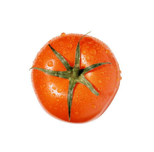 tomato