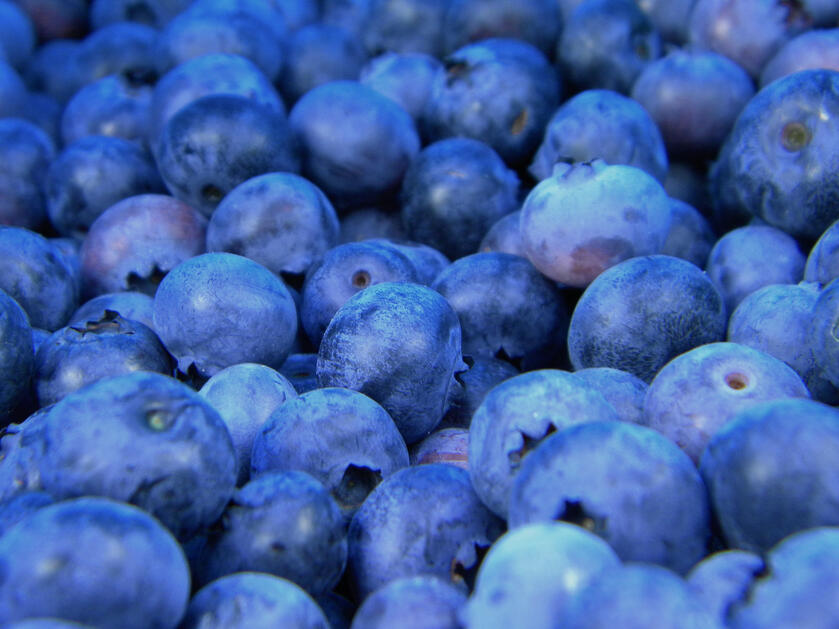 berries
